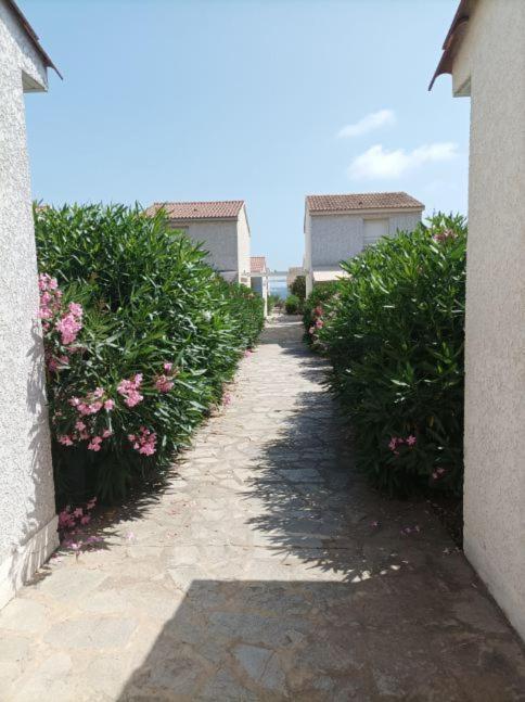 Villa Climatisee A Nuciola Prunete Entre Mer, Montagne Et Piscine Червионе Экстерьер фото