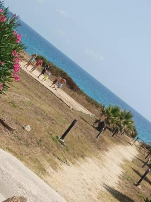 Villa Climatisee A Nuciola Prunete Entre Mer, Montagne Et Piscine Червионе Экстерьер фото