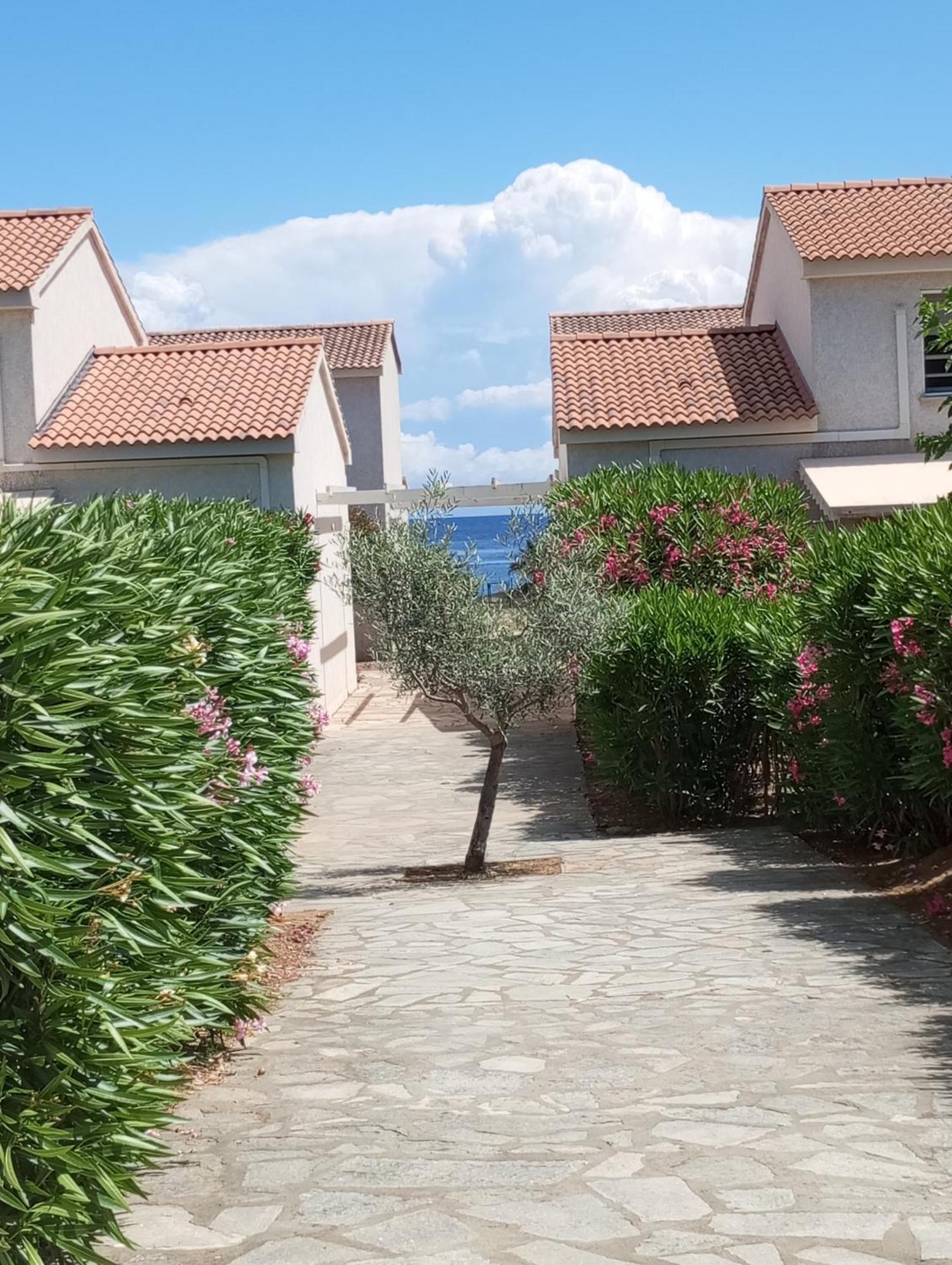 Villa Climatisee A Nuciola Prunete Entre Mer, Montagne Et Piscine Червионе Экстерьер фото
