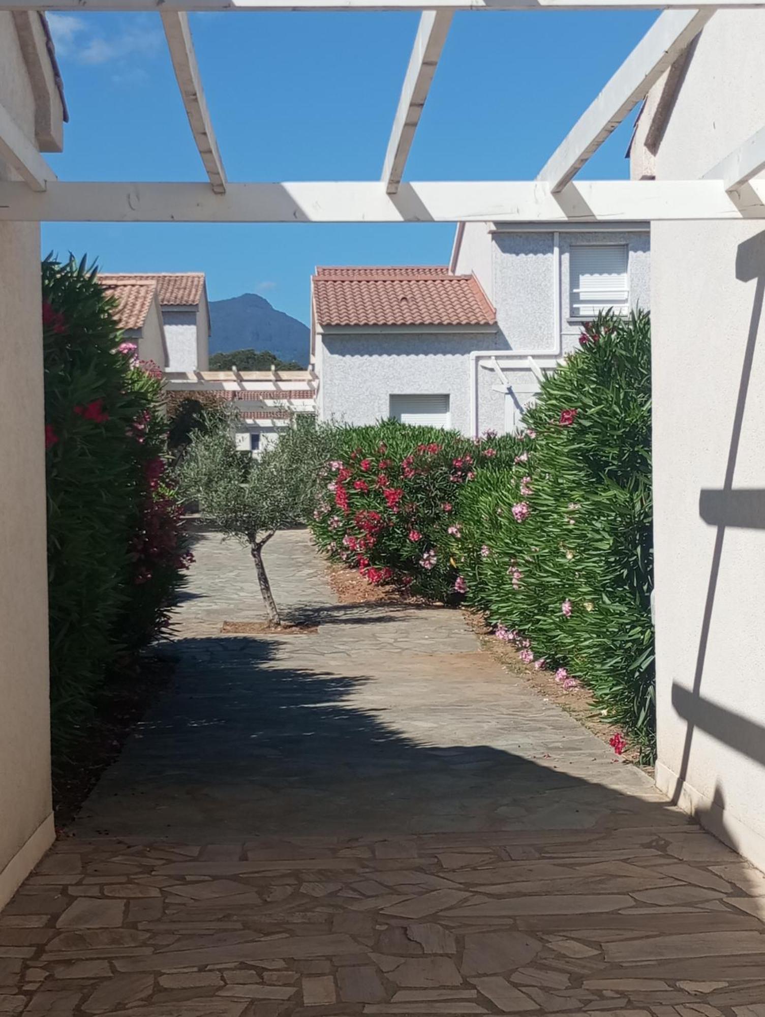 Villa Climatisee A Nuciola Prunete Entre Mer, Montagne Et Piscine Червионе Экстерьер фото